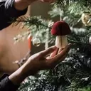 Crocus Christmas Collection: Trendy Gifts to Light Up the Season