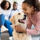 Top Picks for Dog Treats, Toys, and Hydration