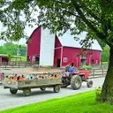 Healing Hearts: A Unique Camp for Grieving Children