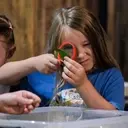 Exploring Nature Through Summer Camp Adventures at Macoskey Center