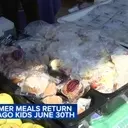 Revitalizing Youth Nutrition: Chicago's Comprehensive Summer Feeding Initiative