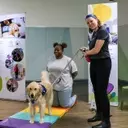 Therapy Dogs Revolutionizing Mental Health Care for Children