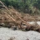 Devastating Floods Engulf Texas Hill Country, Leaving Dozens Dead and Many Missing