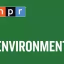 The Enduring Challenge of Sealing Abandoned Oil and Gas Wells Across the U.S.