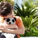 The Lost Stuffy Project: Restoring Comfort Amidst Disaster