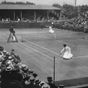The Enduring Evolution of Tennis: From Medieval Roots to Modern Global Sport