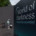 Bronx Zoo Unveils Revitalized Nighttime Animal Exhibit