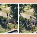 A Simple Summer Moment Goes Viral, Spreading Joy and Nostalgia