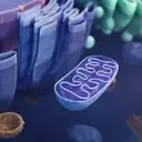 Breakthrough Genetic Technique Prevents Inherited Mitochondrial Diseases