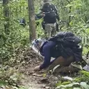 Border Tensions Escalate Between Thailand and Cambodia