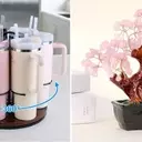 Affordable Luxuries: Smart Home Upgrades Trending on Amazon