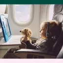 Navigating International Relocations with Children