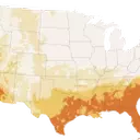 California's Unusually Cool Summer: A Climatic Anomaly Affecting the Golden State
