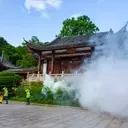 China's Aggressive Stance Against Chikungunya Outbreak: A Detailed Look
