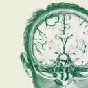 Navigating AI's Impact on Higher Education: A Critical Dialogue