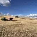 US Wheat Farmers Grapple with Trade Uncertainties Amid Tariff Landscape
