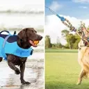 Innovative and Affordable Dog Products for Every Pet Owner