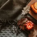 The Autumn Decor Dilemma: When Do We Embrace the Fall Spirit?