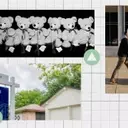 Soaring Housing Costs Lead to Smaller Families
