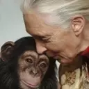 Jane Goodall's Legacy: Unveiling Humanity's Connection to the Animal Kingdom