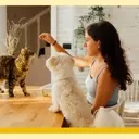 The 'Cat vs. Dog' Parenting Approach: Guiding Children Through Development