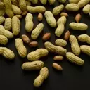 Peanut Allergy Prevention: A Decade of Progress