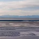 Trump Administration Greenlights Oil and Gas Drilling in Alaska's Arctic Refuge