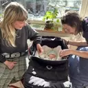 Finland's Declining Birth Rate: A Paradox of Progressive Family Policies