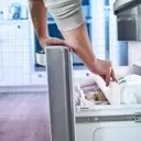 Stocking Your Freezer with Chef-Recommended Essentials