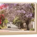 Johannesburg's Spring Transformation: A Jacaranda Spectacle