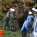 Japan Deploys Military to Combat Escalating Bear Encounters