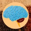 The Impact of Daily Diet Soda Consumption on Brain Health