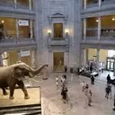 Cultural Institutions Reopen After Government Shutdown