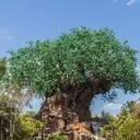A Magical Family Journey: Discovering Unity at Disney's Animal Kingdom