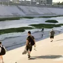 Guerrilla Gardener Creates Pop-Up Wetland in LA River