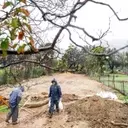 FEMA Interim Head's Short Tenure Ends Amidst Agency Turmoil
