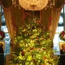 White House Holiday Tours Resume Amidst East Wing Changes