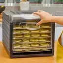 The Ultimate Guide to Food Dehydrators