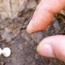 Ancient Fire-Starting: New Evidence Reshapes Human History