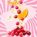 The Sweet and Sour Saga of Candied Cranberries: A Viral Trend Review