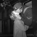 The Fascinating Journey of Mistletoe: From Ancient Origins to Modern Holiday Tradition