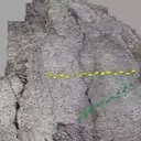 Ancient Dinosaur Tracks Uncovered Near Italian Winter Olympic Sites