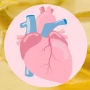 Exploring Butter's Impact on Cardiovascular Health: A Detailed Analysis