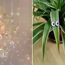 Whimsical Wonders: Budget-Friendly Charms for Every Home