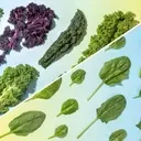 Kale vs. Spinach: Which Green Reigns Supreme?