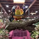 Phoenix of Hope: Rose Parade Float Commemorates Fire Survivors