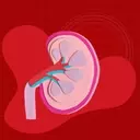 The Hidden Risk of Excessive Electrolyte Drink Consumption for Kidney Health