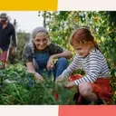 Boomer Grandparents: Modern Relationships with Grandchildren