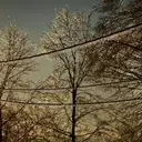 Ice Storms: Understanding the Hazards and Preparing for Impact