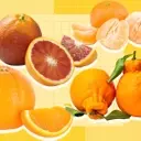 A Comprehensive Guide to Orange Varieties